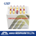 Amoxicillin Capsule 500mg, 10*10's/box